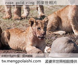 rose gold ring 來世的未來相片