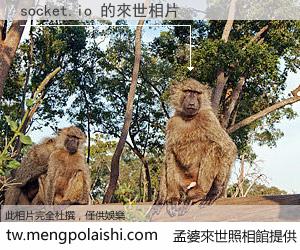 socket.io 來世的未來相片