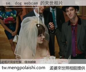 se. dog webcam 來世的未來相片