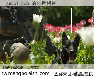 seoul pub 來世的未來相片