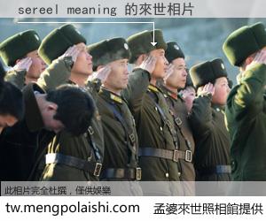 sereel meaning 來世的未來相片