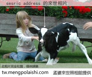 sesric address 來世的未來相片