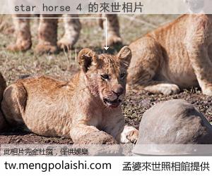 star horse 4 來世的未來相片