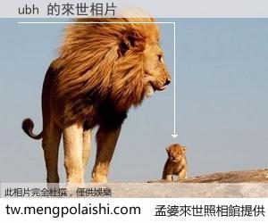 ubh 來世的未來相片