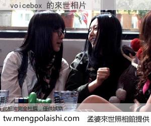 voicebox 來世的未來相片