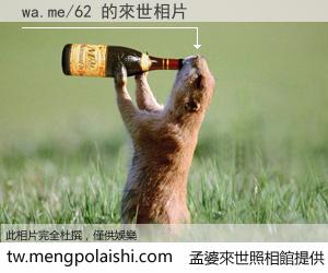 wa.me/62 來世的未來相片