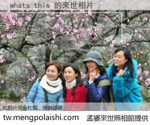 whats this 來世的未來相片
