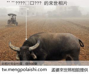 ��????��??? 來世的未來相片