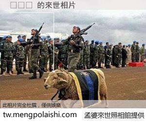 لپش 來世的未來相片