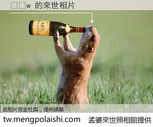 صشw 來世的未來相片