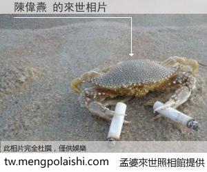 陳偉燾 來世的未來相片