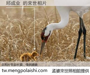 邱成业 來世的未來相片