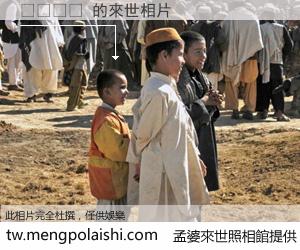 변온동물 來世的未來相片