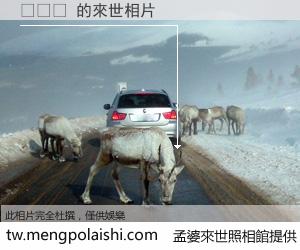 차윤선 來世的未來相片