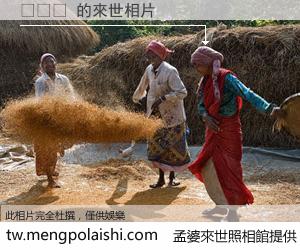 소테츠 來世的未來相片