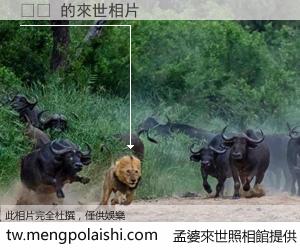 크우 來世的未來相片