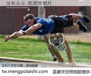 はめふら 來世的未來相片