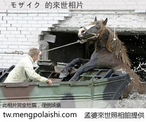 モザイク 來世的未來相片