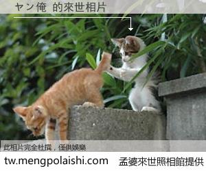 ヤン俺 來世的未來相片