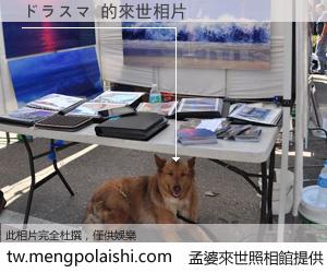 ドラスマ 來世的未來相片