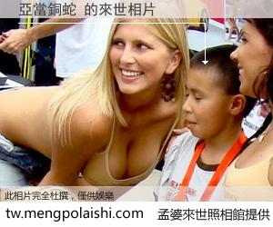 亞當銅蛇 來世的未來相片