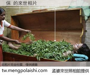 保 來世的未來相片