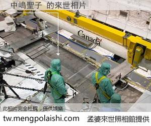 中嶋聖子 來世的未來相片