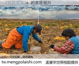 ������ 來世的未來相片