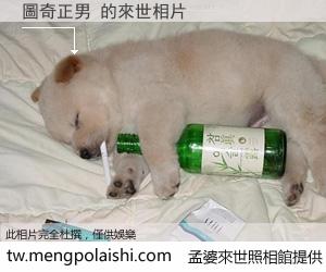 圖奇正男 來世的未來相片