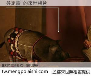 吳定霖 來世的未來相片