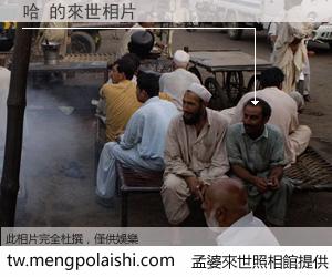 哈 來世的未來相片