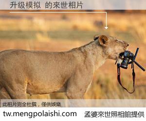 升级模拟 來世的未來相片