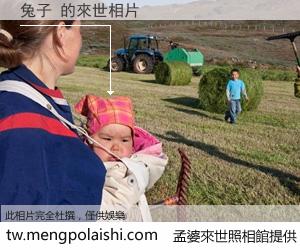 兔子 來世的未來相片