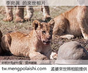 李宛眞 來世的未來相片