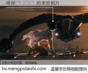 楊俊𠎀 來世的未來相片