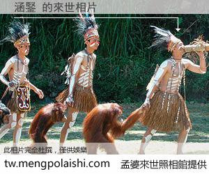 涵鋻 來世的未來相片