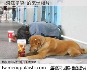 淡江學貸 來世的未來相片