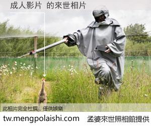 成人影片 來世的未來相片