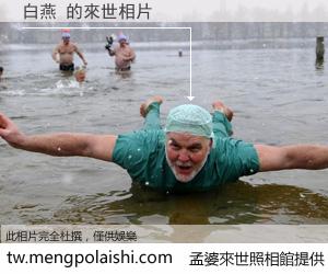 白燕 來世的未來相片