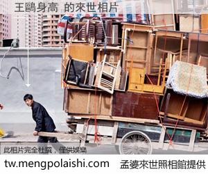 王鷗身高 來世的未來相片