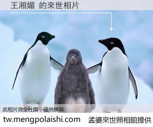 王湘媚 來世的未來相片