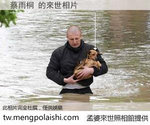 蔡雨桐 來世的未來相片