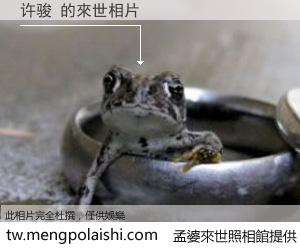 许骏 來世的未來相片