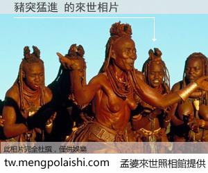 豬突猛進 來世的未來相片