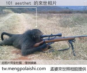 101 aesthet 來世的未來相片