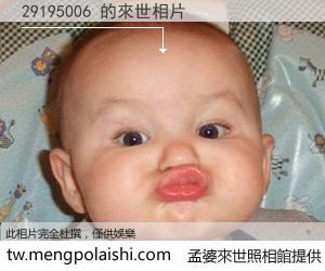 29195006 來世的未來相片