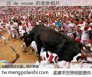 20 de novem 來世的未來相片