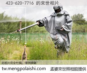 423-620-7716 來世的未來相片