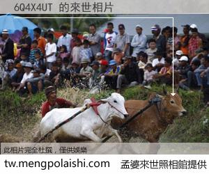 6Q4X4UT 來世的未來相片