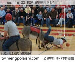 Isa. 16:33 ESV 來世的未來相片